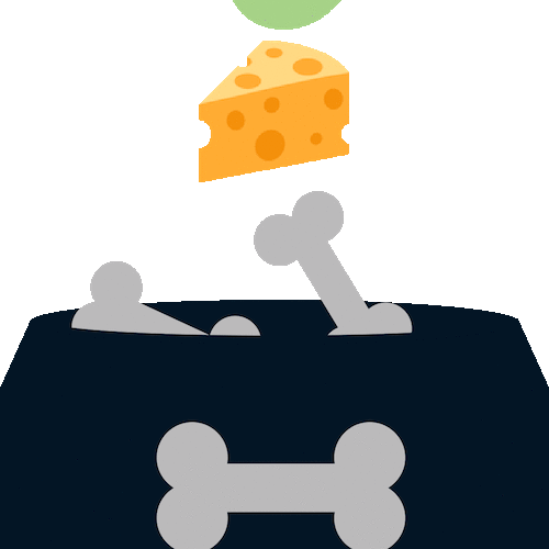 Foods Dogs Can Eat App for Checking Human Food for Canines